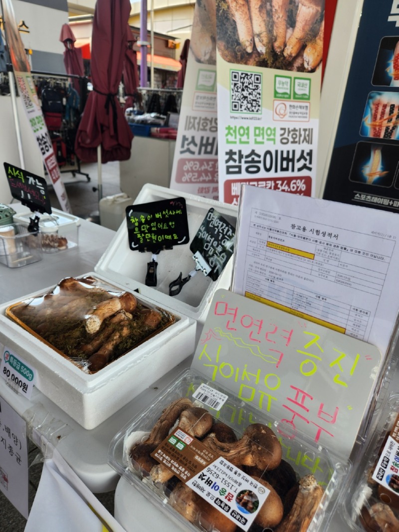 KakaoTalk_20260512_122439034_03.jpg