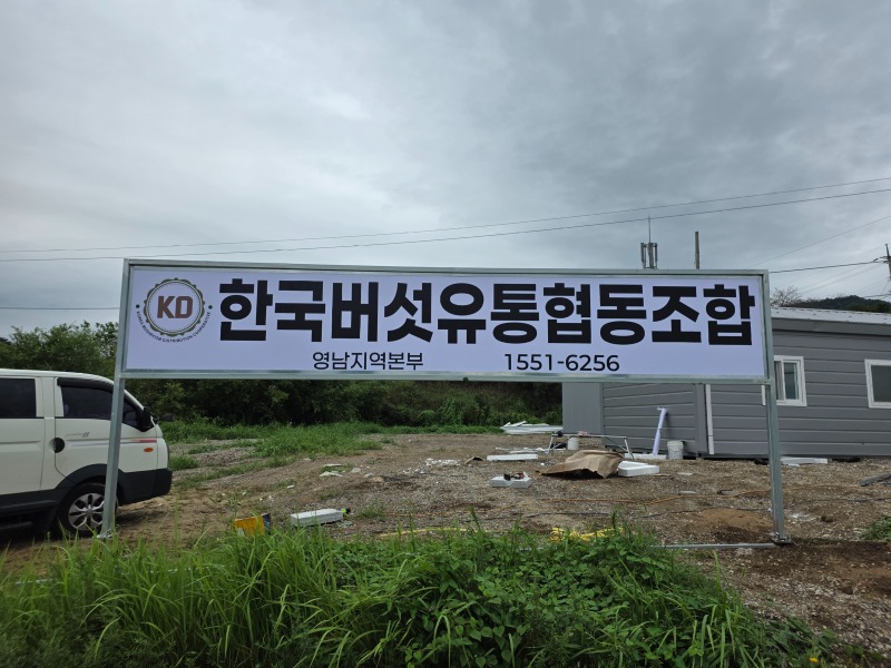 KakaoTalk_20260826_125330312.jpg